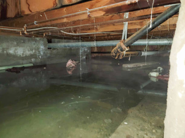 Local water damage restoration in Mountain Home, NC