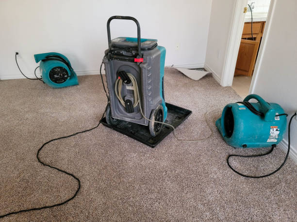 Best Water damage cleanup near me  in Mountain Home, NC