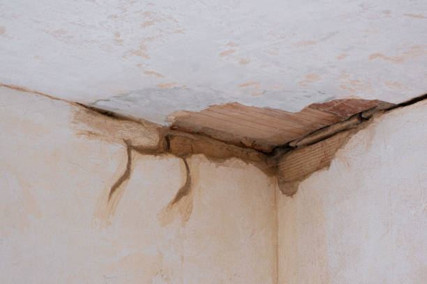 Best Water damage restoration near me  in Mountain Home, NC