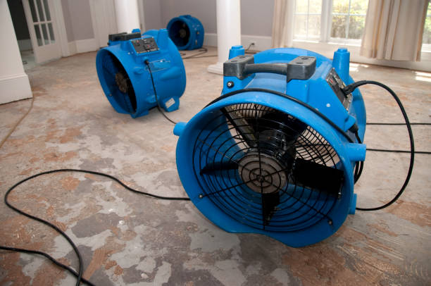 Best Residential water damage restoration  in Mountain Home, NC
