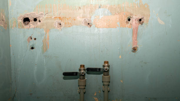  Mountain Home, NC Water damage restoration Pros